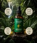 Mullein Leaf Extract